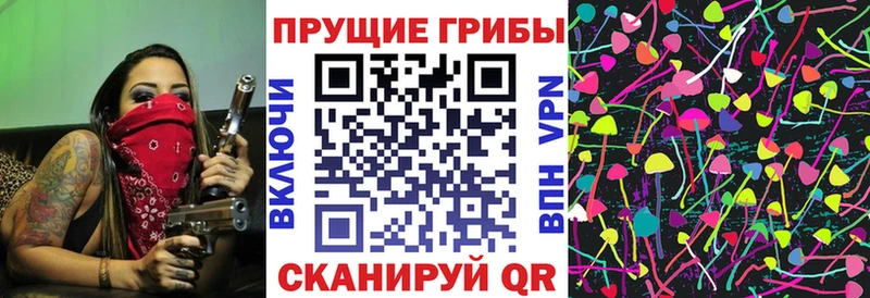 Галлюциногенные грибы ЛСД  где купить наркоту  Галич 